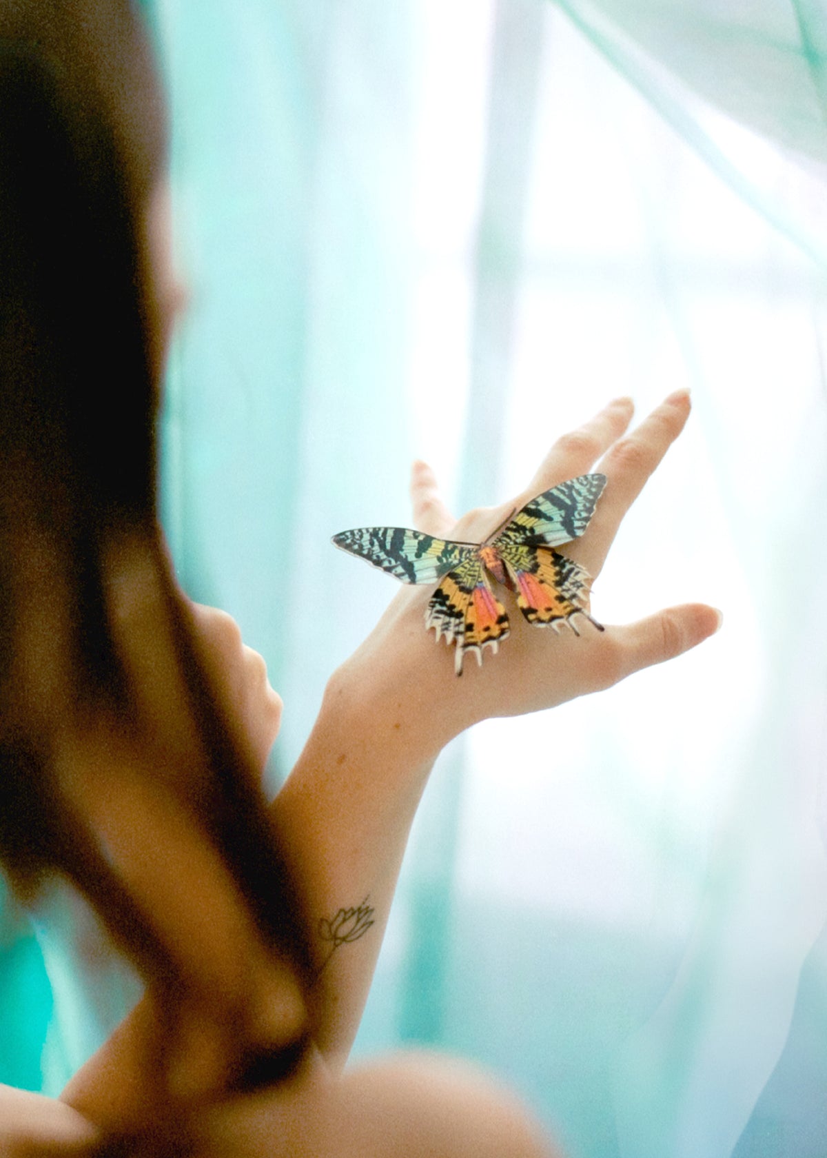 Woman shoulder wirth butterfly shot on revolog streak
