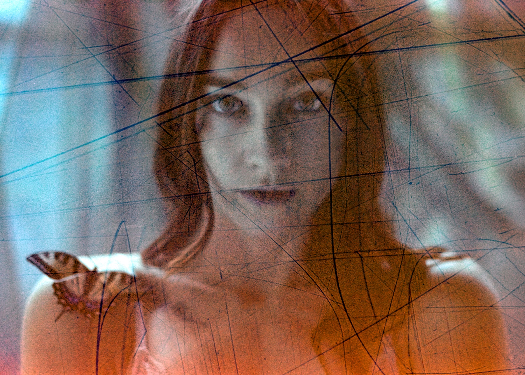 Laurel Guido — Nocturne